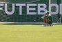 Com sequência de derrotas e pressionado: como chega o Palmeiras para enfrentar o Inter