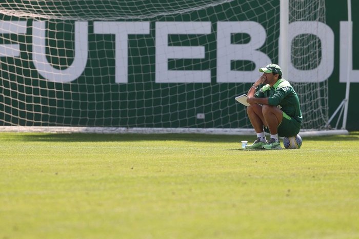 Cesar Greco / Palmeiras / Divulgação