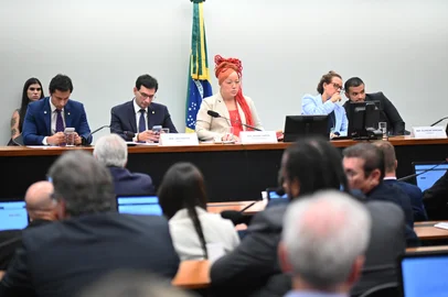 Kayo Magalhães / Divulgação Deputada Daiana Santos (PT-RS)<!-- NICAID(16283615) -->