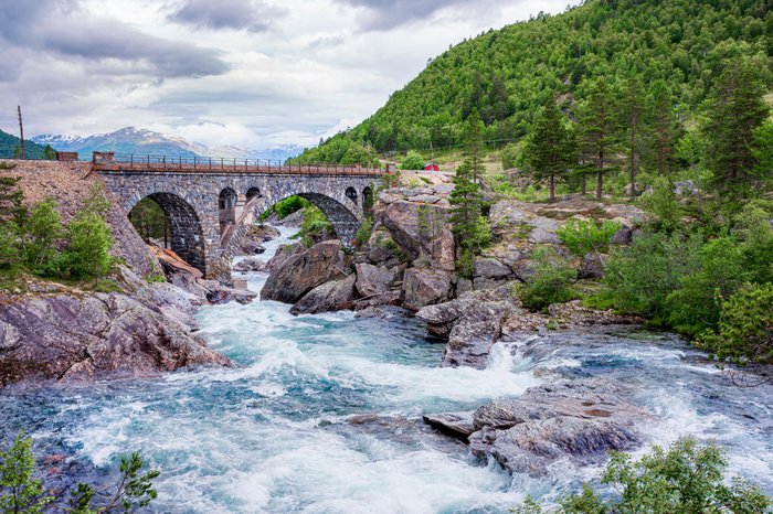 megselv / stock.adobe.com