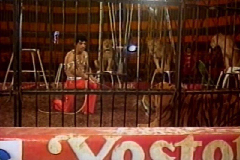 Reportagem do circo vostok em julho de 1985<!-- NICAID(15710683) -->