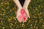 Womans hands hold pink breast cancer awareness ribbon on fall foFonte: 289892469<!-- NICAID(15227358) -->