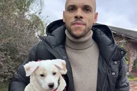 Braithwaite adota cachorrinha resgatada das enchentes na Ilha das Flores; veja fotos<!-- NICAID(16070044) -->