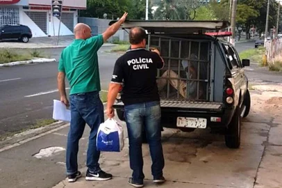 Um homem foi condenado a 29 anos e quatro meses de prisão por matar um bebê de 11 meses em Santana do Livramento, na Fronteira Oeste. O crime ocorreu em em 2018 e teve como vítima a filha da então companheira do homem. A sentença foi proferida na terça-feira (23) pelo Tribunal do Júri de Santana do Livramento.<!-- NICAID(16132335) -->