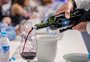 Novos terroirs, novos sabores: o perfil do vinho brasileiro da Safra 2025