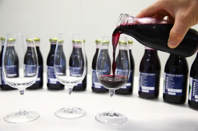 BENTO GONÇALVES, RS, BRASIL, 19/09/2025. Embrapa possui programa de melhoramento genético de uvas para produção de sucos de uva e vinho. Estudos existem desde os anos 1960 e foram responsáveis pelo lançamento de sete variedades apenas para suco. (Porthus Junior/Agência RBS)<!-- NICAID(16128830) -->