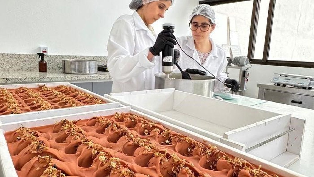 Black Friday: descontos movimentam pequenos negócios