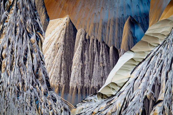 Rob Blanken / Close-up Photographer Of The Year 2024 / Divulgação Rob Blanken / Close-up Photographer Of The Year 2024 / Divulgação