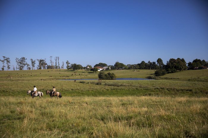 Camila Hermes / Agencia RBS Camila Hermes / Agencia RBS