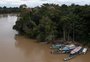 Irmãos confessam ter matado jornalista e indigenista desaparecidos, diz jornal 