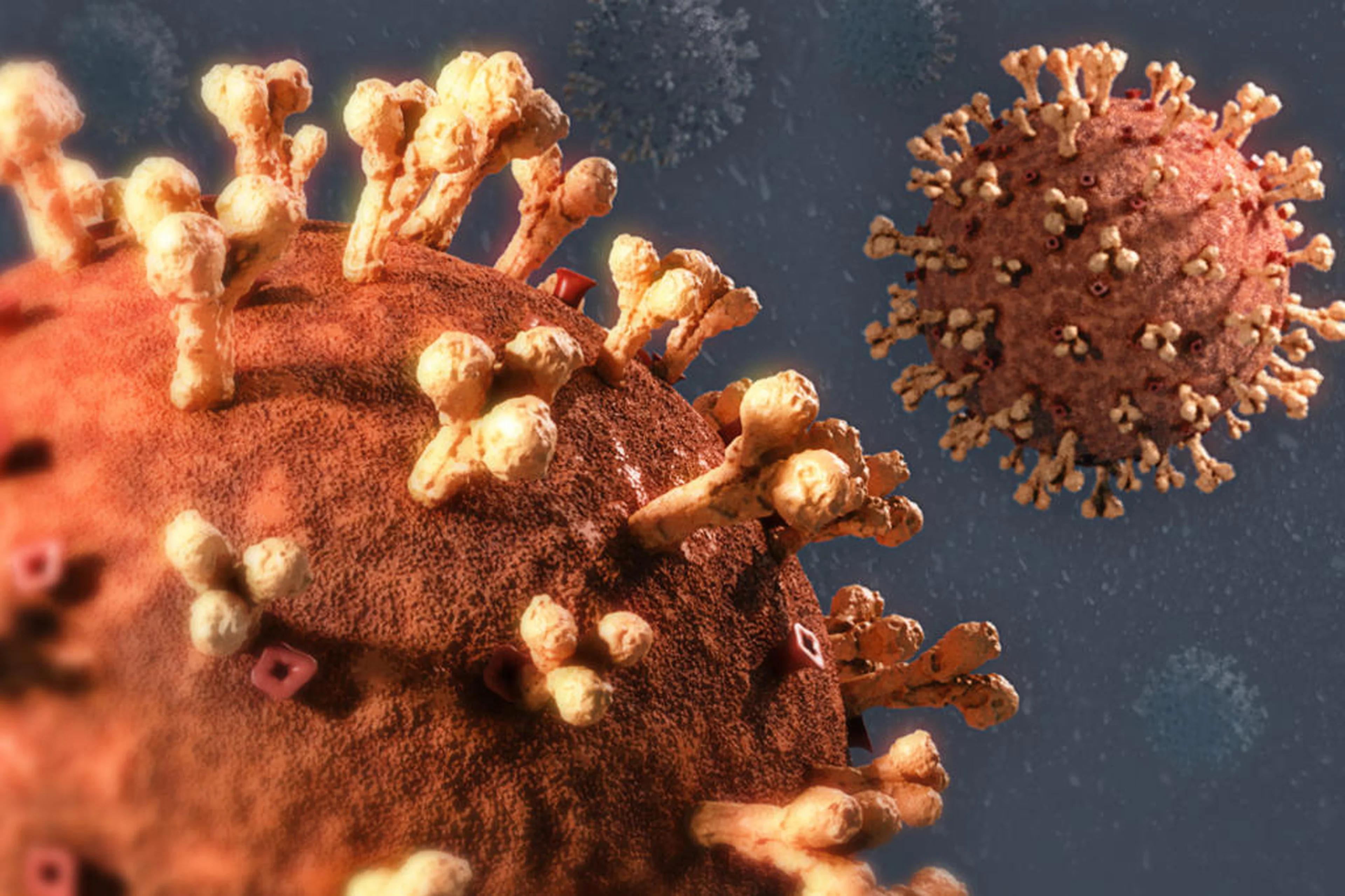 Jonatan Sarmento/Agencia RBS