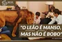 Por que o símbolo do Imposto de Renda é um leão?