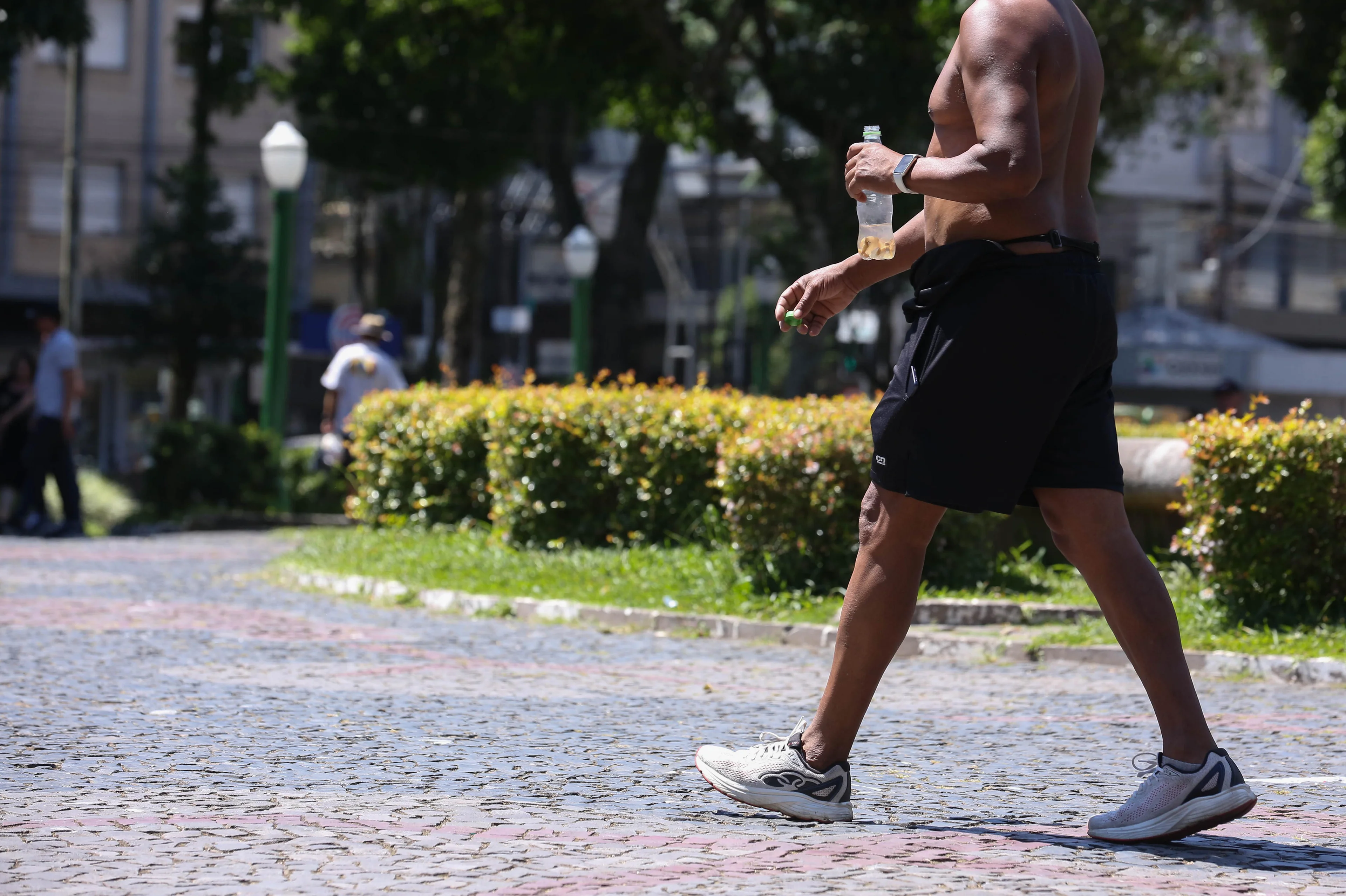 Ariéli Ziegler/Agencia RBS