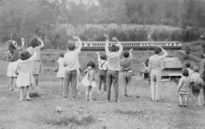 Acervo de família / reprodução