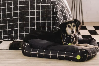 Decor pet lovers<!-- NICAID(14832636) -->