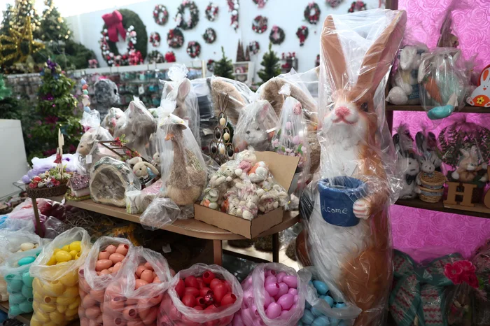 Jonathan Heckler / Agencia RBS Jonathan Heckler / Agencia RBS