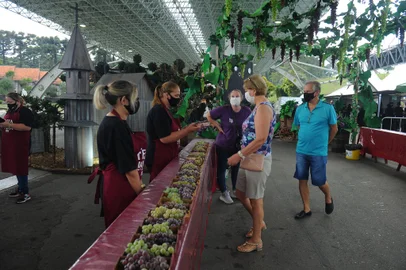 CAXIAS DO SUL, RS, BRASIL, 22/04/2022 - Uva servida aos visitantes da Festa da Uva agrada visitantes. NA FOTO: Luis Braga e Tereza Costella. (Marcelo Casagrande/Agência RBS)<!-- NICAID(15023718) -->
