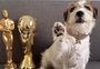 Cães de "Ainda Estou Aqui" vencem "Oscar canino" por participação no filme