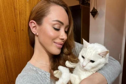 Aline Dahlen, Ringo<!-- NICAID(15706994) -->