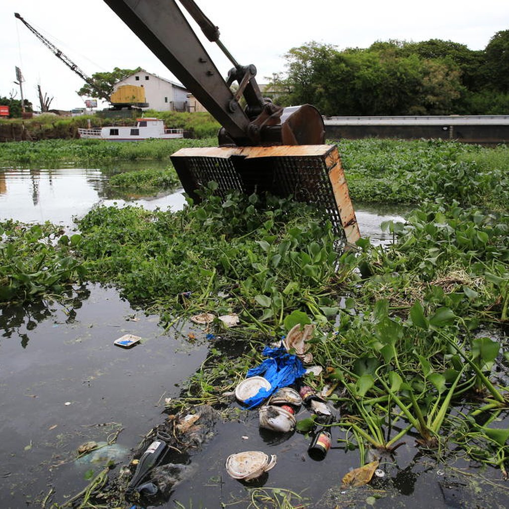 Rio Gravataí (RS) resiste em meio a estiagem, poluição