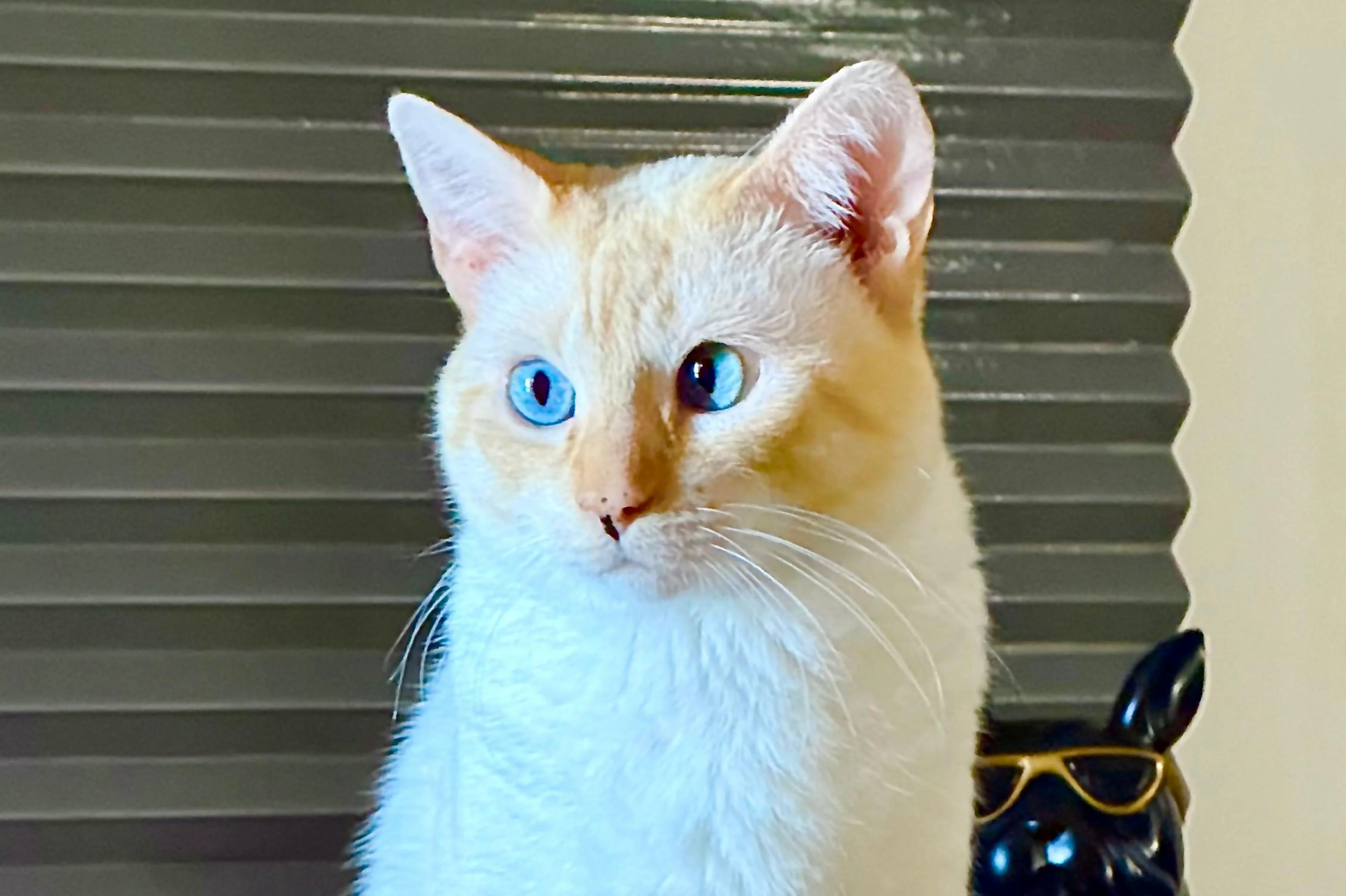 Cezar Augusto Dienstmann/Arquivo pessoal