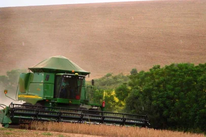 Em Cruz Alta no noroeste do Estado os irmaos Aldemir e Ajadir Machiavelli iniciaram a colheita de soja nos 2 7 mil hectares cultivados Na foto Jonardo Machiaveli 25 anos filho de Ajadir que acompanha a colheita dos graos produzidos pela familia colheita,soja,Cruz Alta,Machiavelli