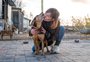 A realidade da adoção: pesquisa inédita revela como idade, cor e porte definem o destino de animais em abrigos no Brasil