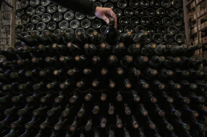 BENTO GONÇALVES, RS, BRASIL -A Revolução Silenciosa dos Parreirais.Como o setor vitivinícola alia prestígio internacional com aumento de vendas e safra recorde de uvas. Na imagem vinhos Dall Pizzol, na Vinícola Dal Pizzol.Indexador: Jeff Botega<!-- NICAID(14869728) -->