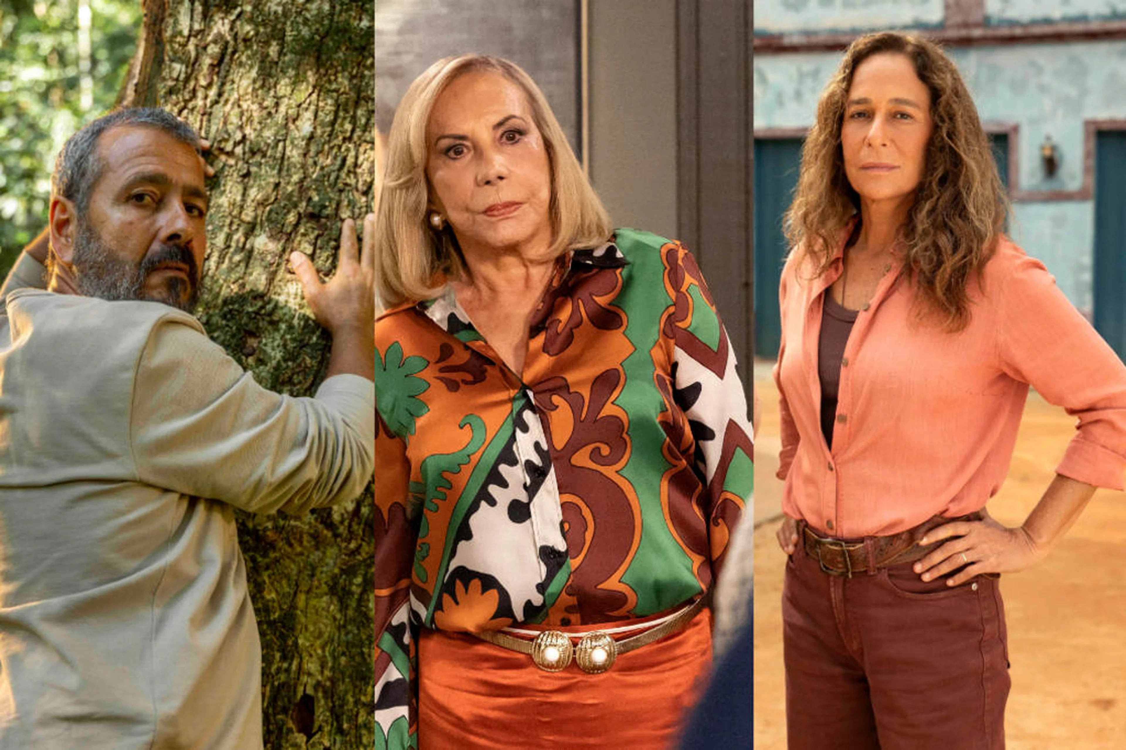 TV Globo/Divulgação