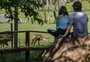 Em busca de hotel e "naming rights", zoológico de Sapucaia do Sul vai a leilão 