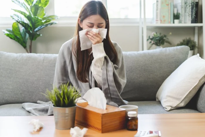 Pormezz / Shutterstock | Portal EdiCase