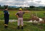 Da lavoura à matéria-prima, educação ambiental ganha importância de manejo na agricultura