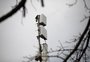 Projeto de lei deve viabilizar 5G em Caxias do Sul para janeiro de 2023
