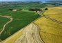 O ano em que a soja perderá espaço para o arroz em áreas de várzea do RS