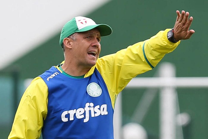 Cesar Greco / Palmeiras,Divulgação