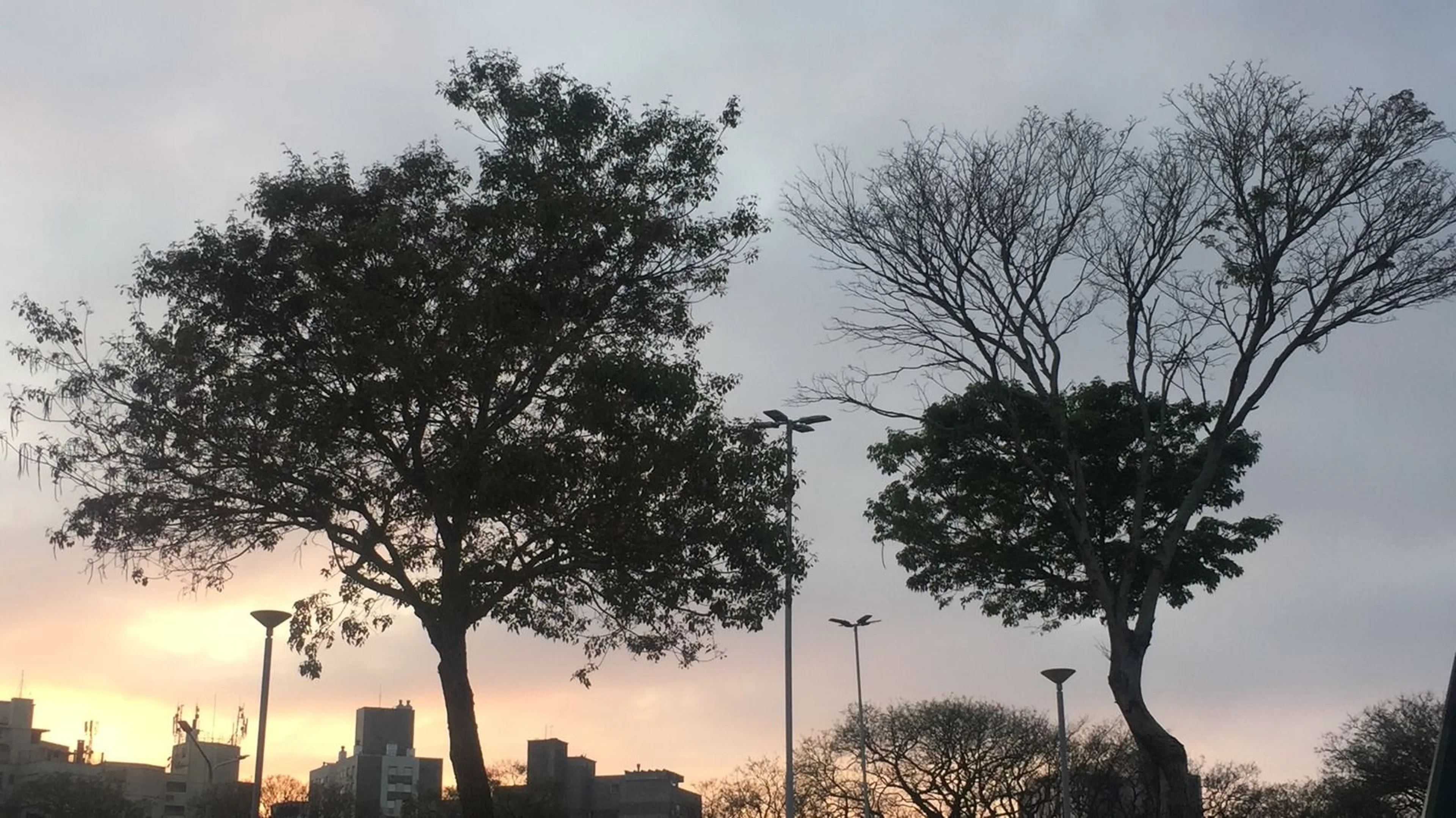 Ronaldo Bernardi/Agencia RBS