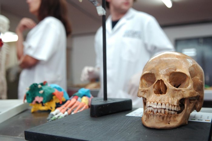 Mauro Vieira / Agencia RBS