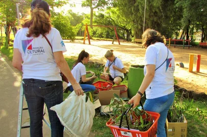 Mutirão das orquídeas em Campo Bom, no RS<!-- NICAID(15458821) -->
