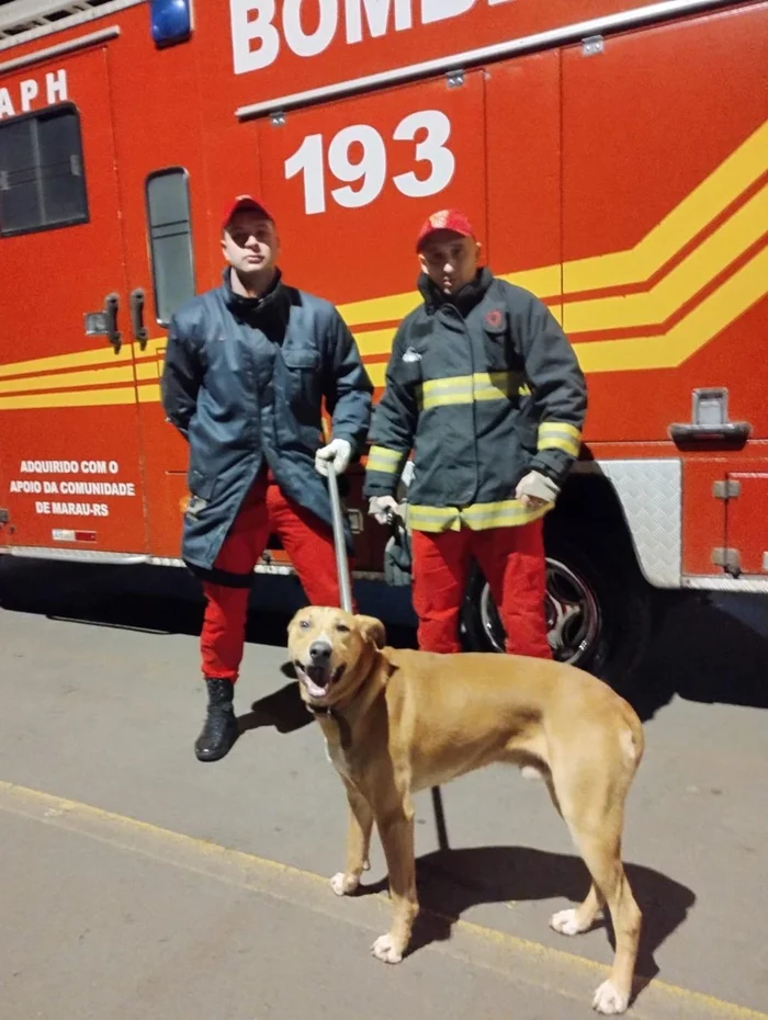 Bombeiros de Marau / Divulgação Bombeiros de Marau / Divulgação