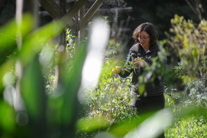 Bruno Todeschini / Agencia RBS