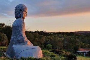 Associação Via Zen / Divulgação