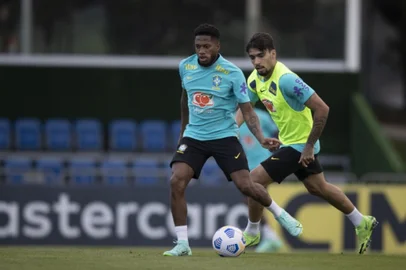 Fred e Lucas Paquetá, Seleção Brasileira