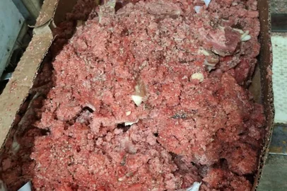 Ministério Público / Divulgação A Força-Tarefa do Programa Segurança dos Alimentos realizou, nesta quarta-feira, 11 de março, uma operação de fiscalização em Farroupilha que resultou na apreensão de quase oito toneladas de produtos impróprios para o consumo. Entre os itens recolhidos, chamou atenção a presença de bucho bovino com validade expirada desde 2017. A ação ocorreu em apenas dois estabelecimentos, o que reforça a gravidade e a expressiva quantidade de irregularidades identificadas.Do total apreendido, cerca de 90% era composto por carnes e pescados, muitos deles armazenados de forma inadequada, sem procedência ou fora da temperatura permitida. A fiscalização constatou problemas de fracionamento, produtos vencidos, itens sem identificação de origem e falhas de armazenamento, além de alimentos mantidos em temperaturas incorretas, incluindo margarina fora dos padrões exigidos. Também foram apreendidos sucos, embutidos, queijos, produtos de padaria, como tortas e bolos, além de unidades de álcool cuja venda é proibida em supermercados.Participaram da operação de fiscalização os promotores de Justiça Alcindo Luz Bastos da Silva Filho, de Defesa do Consumidor de Porto Alegre, e Stéfano Lobato Kaltbach, de Farroupilha, servidores do Grupo de Atuação Especial de Combate ao Crime Organizado (GAECO/MPRS), representantes da Vigilância Sanitária e do Serviço de Inspeção do município de Farroupilha, da Secretaria Estadual da Saúde, da Secretaria Estadual da Agricultura, Pecuária, Produção Sustentável e Irrigação (SEAPI), da Delegacia do Consumidor (DECON) e da Patrulha Ambiental da Brigada Militar (PATRAM).<!-- NICAID(16242986) -->