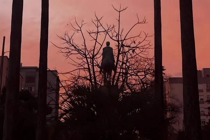 Ro Lopes / Acervo Paulo César Teixeira