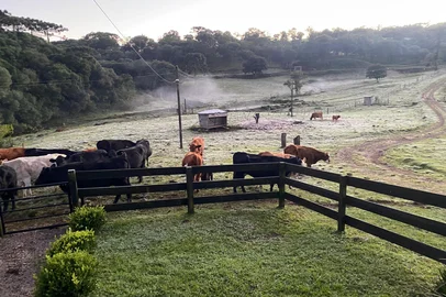 Geada em boqueirão do Leão<!-- NICAID(16283256) -->