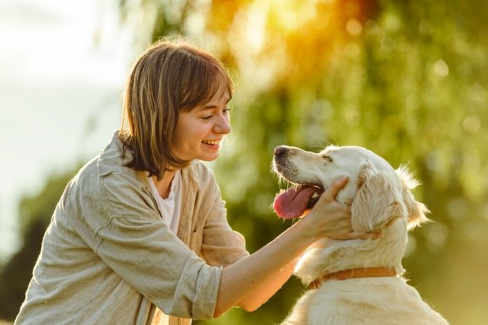 Lopolo / Shutterstock | Portal EdiCase Lopolo / Shutterstock | Portal EdiCase