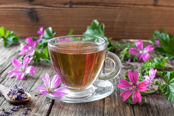 Madeleine Steinbach / Shutterstock | Portal EdiCase Madeleine Steinbach / Shutterstock | Portal EdiCase