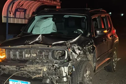 Uma vaca morreu após ser atropelada por um Jeep Renegade na RS-040, em Viamão, na Região Metropolitana, no início da manhã desta terça-feira (17). O condutor e a passageira do veículo não ficaram feridos.<!-- NICAID(16308223) -->