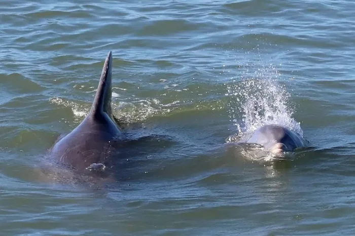 Rodrigo Genoves / Divulgação Rodrigo Genoves / Divulgação