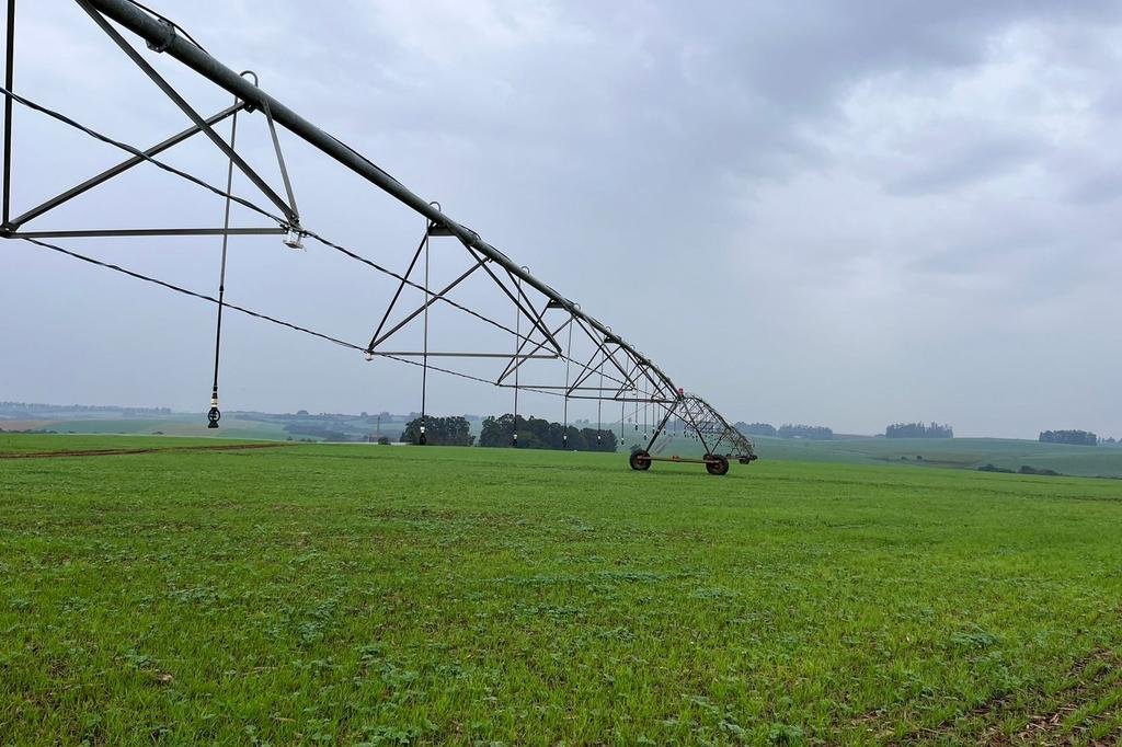 Startup gaúcha estreia na Expointer